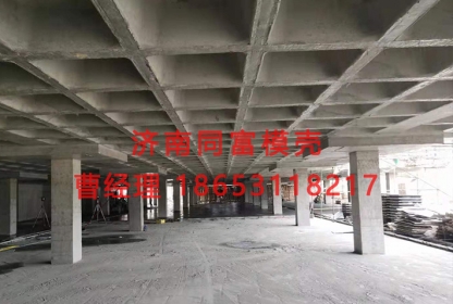 齊齊哈爾塑料建筑模殼